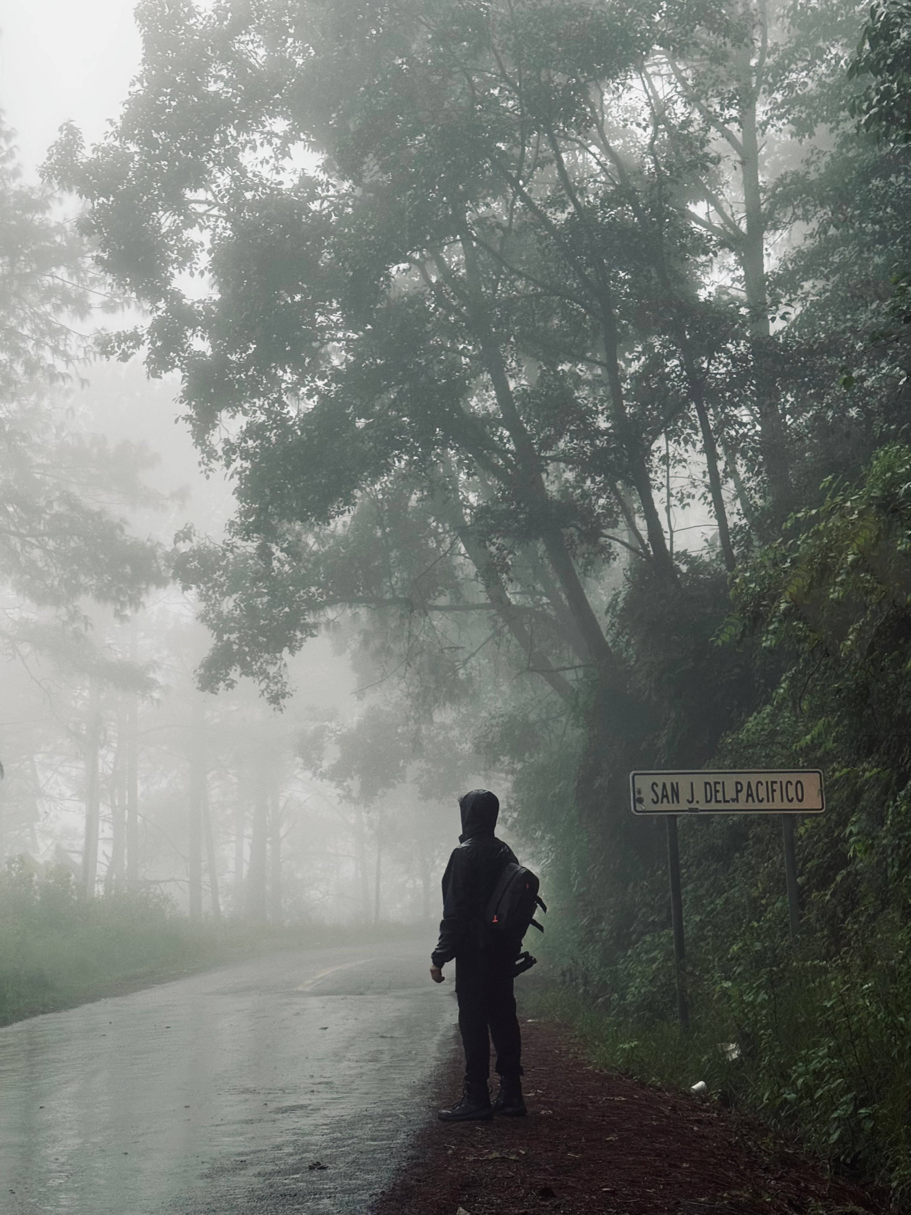 How It All Began – From the Field to the Idea